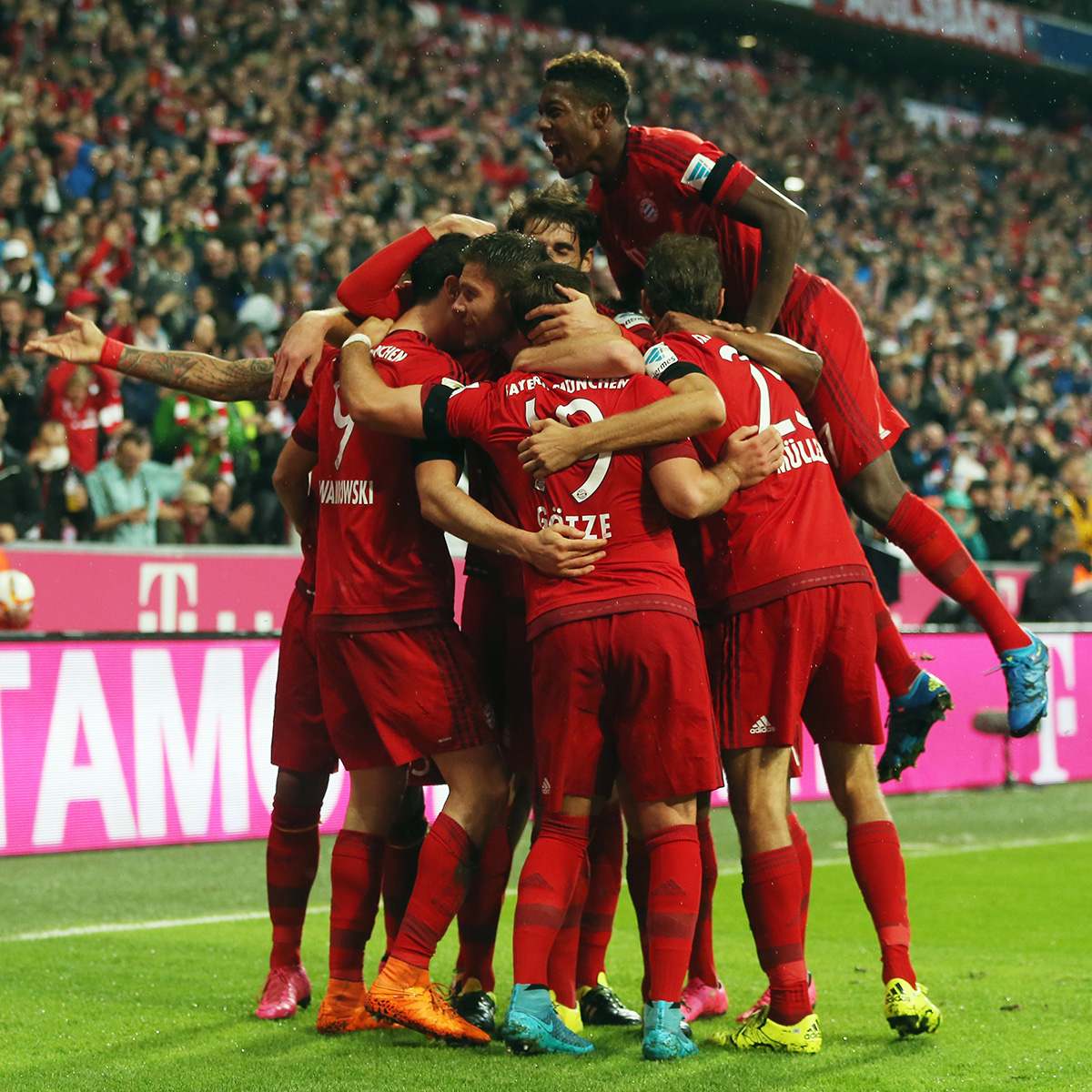 小规模的茶籽油生产线